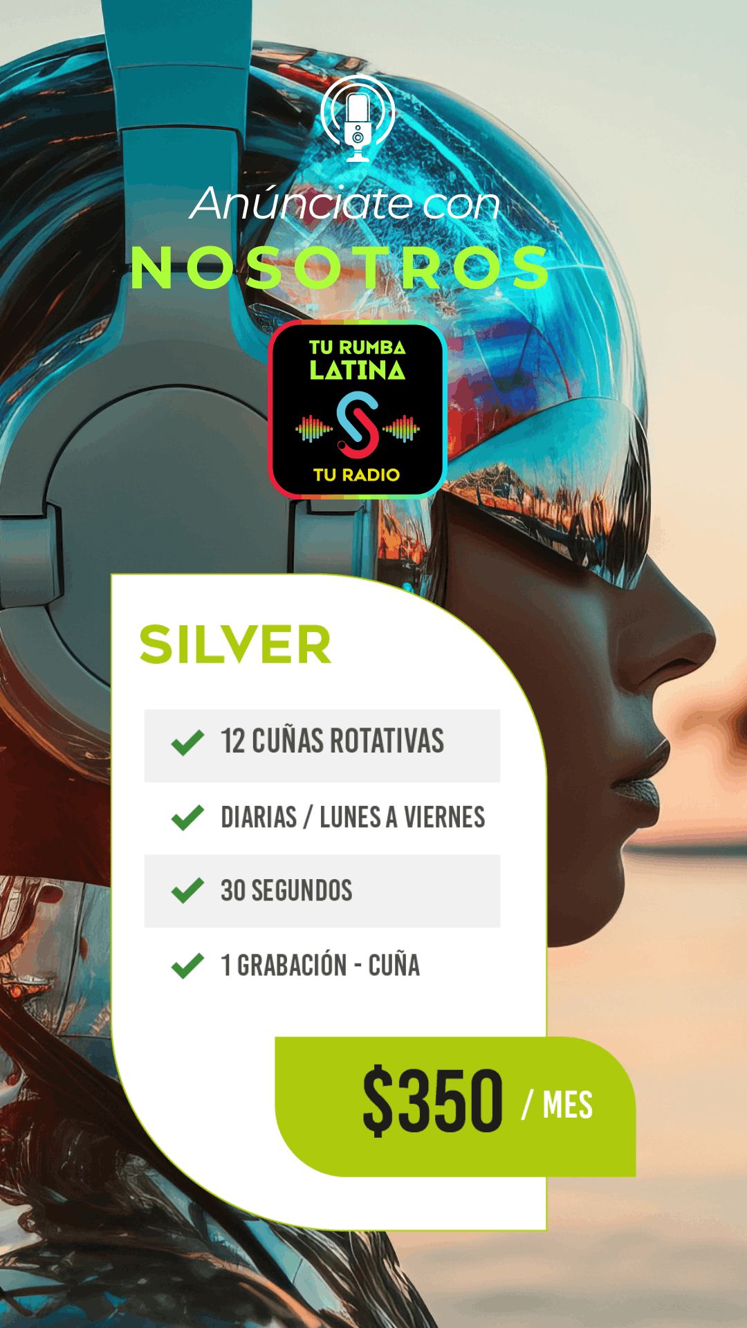 Plan Radial Silver.jpg